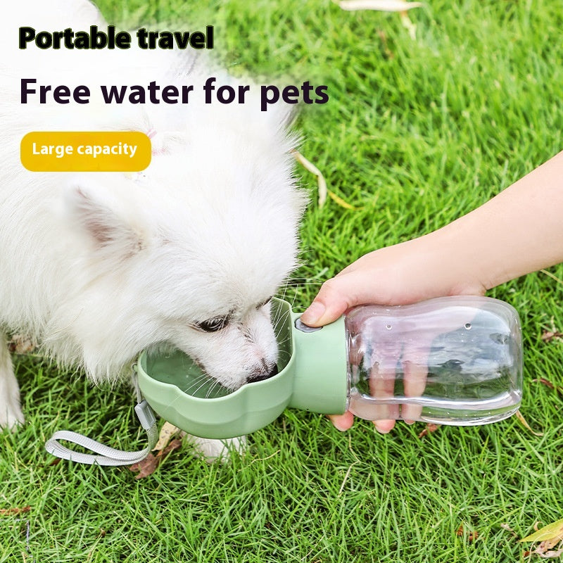 Coupe d'eau pour chiens
