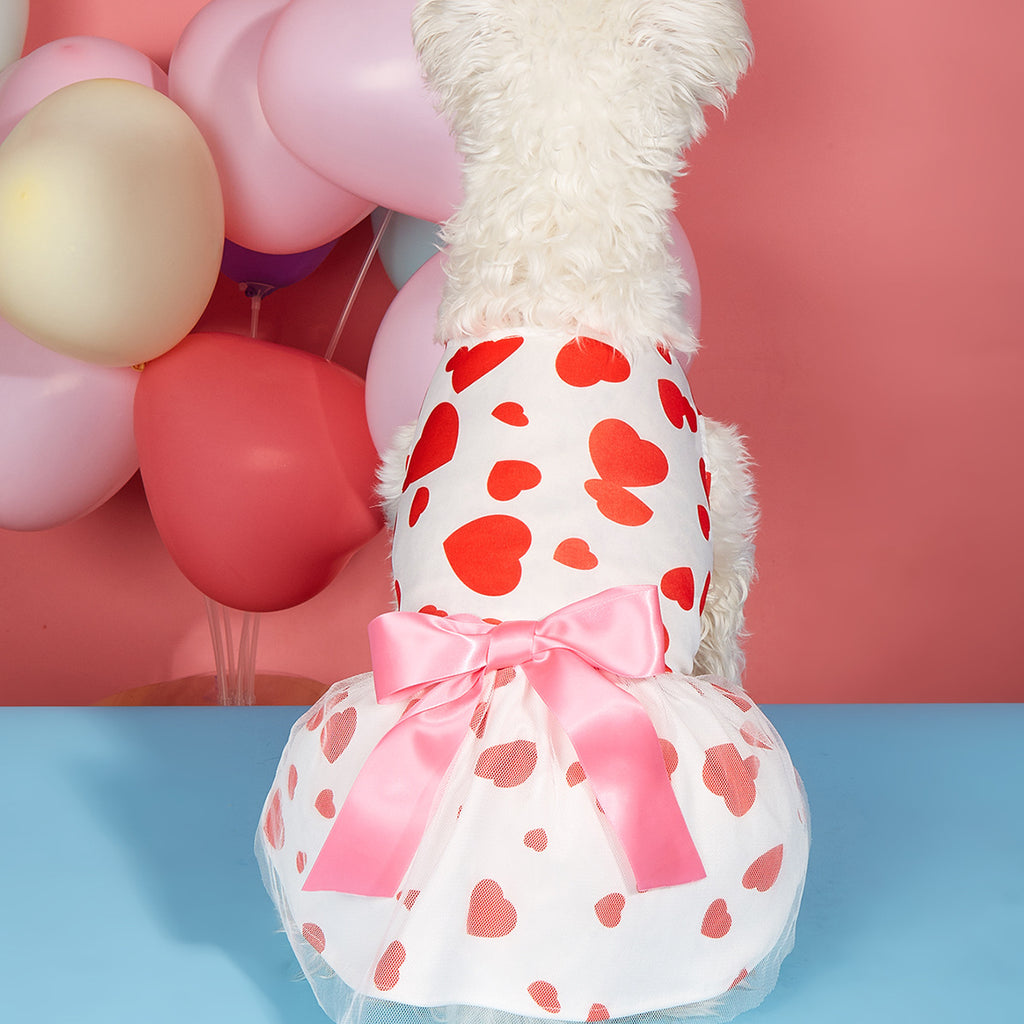 Animaux de compagnie Chat Saint-Valentin amour robe imprimée