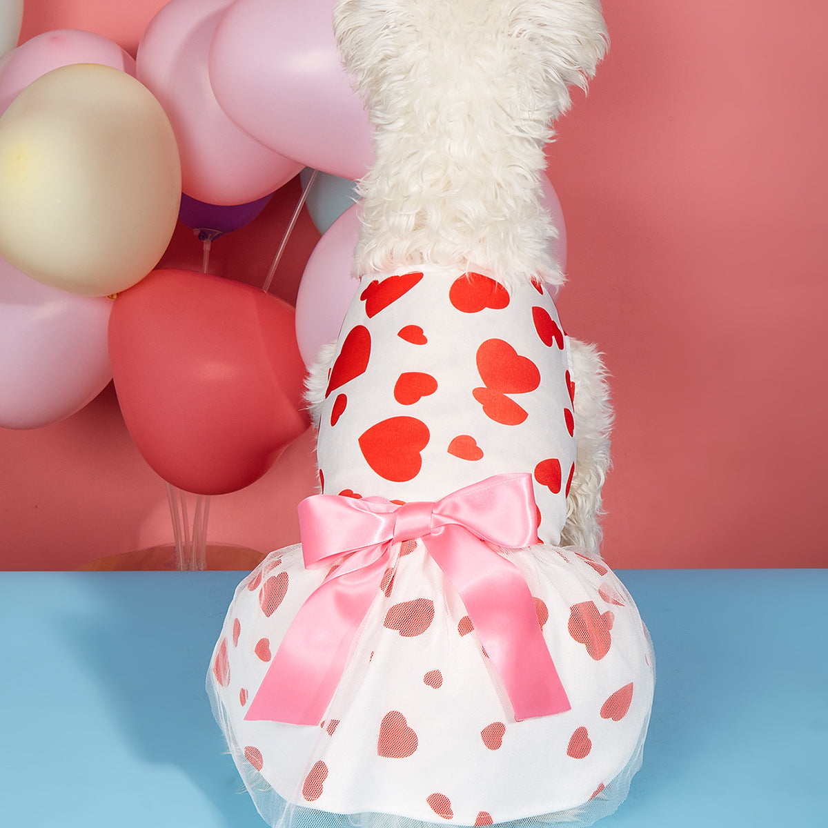 Animaux de compagnie Chat Saint-Valentin amour robe imprimée