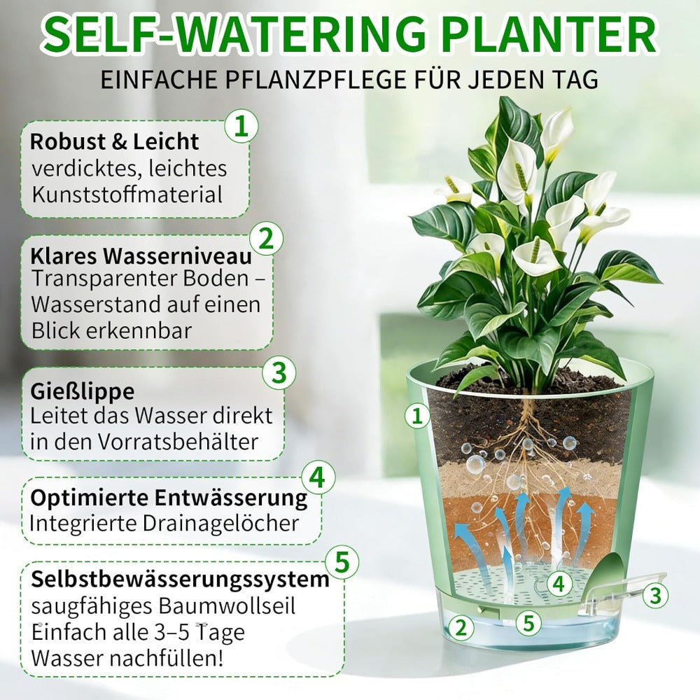 6 Pots de fleurs vertes avec fond transparent
