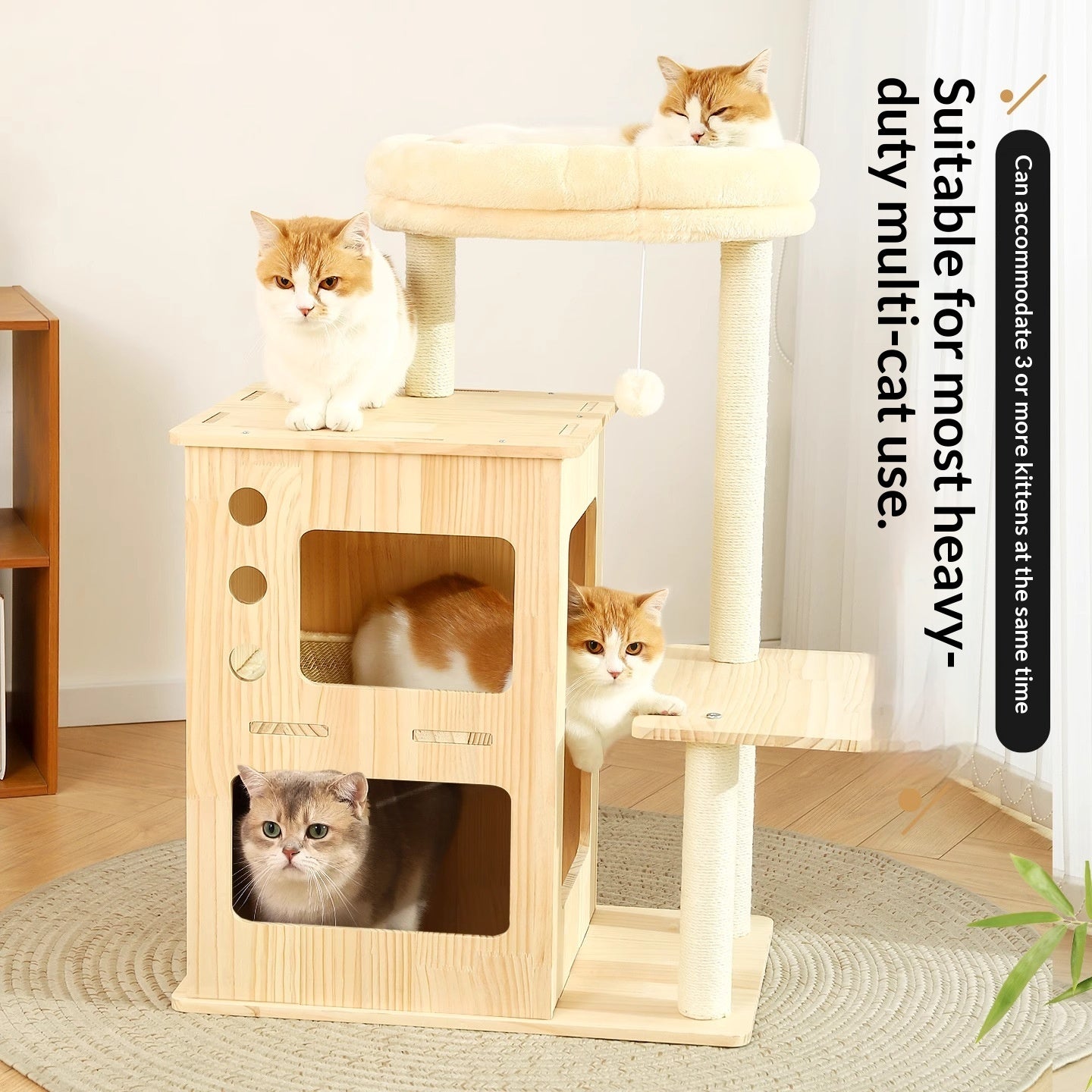 Arbre de chat en bois massif pour les petites maisons