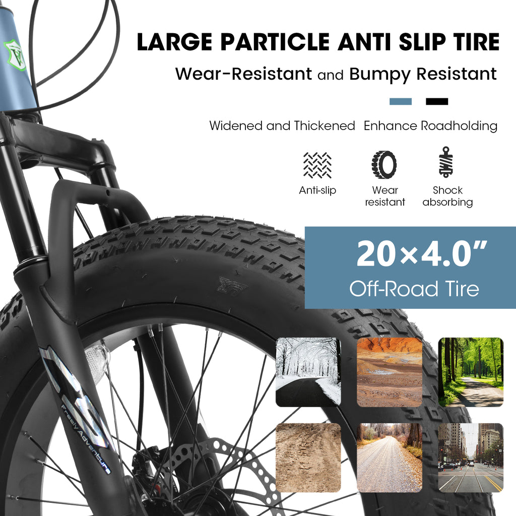 V202035 20 pouces Fat Tire Bike 7 Speed Mountain Bike