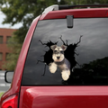 Mur animal Toutes sortes de Puppy Creative Trou de voiture cassé stickers électrostatique fenêtre