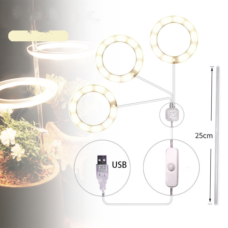 LED Grow Light Full Spectrum Phyto Grow Lampe USB Phyto Lampe pour plantes