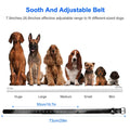 Récepteur de collier d'entraînement pour chiens IP67 étanche à l'eau
