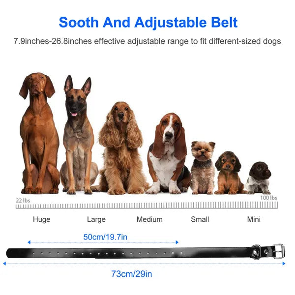 Récepteur de collier d'entraînement pour chiens IP67 étanche à l'eau