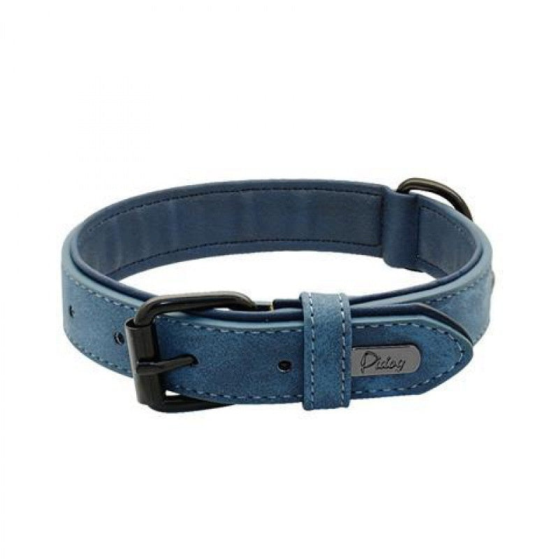 Collier de chien de compagnie ajustable anti-perte gravé