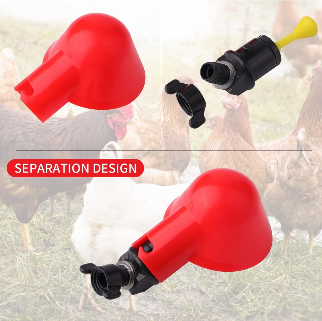 Poulet Bol d'eau Poulet Bateau Automatique Poulet