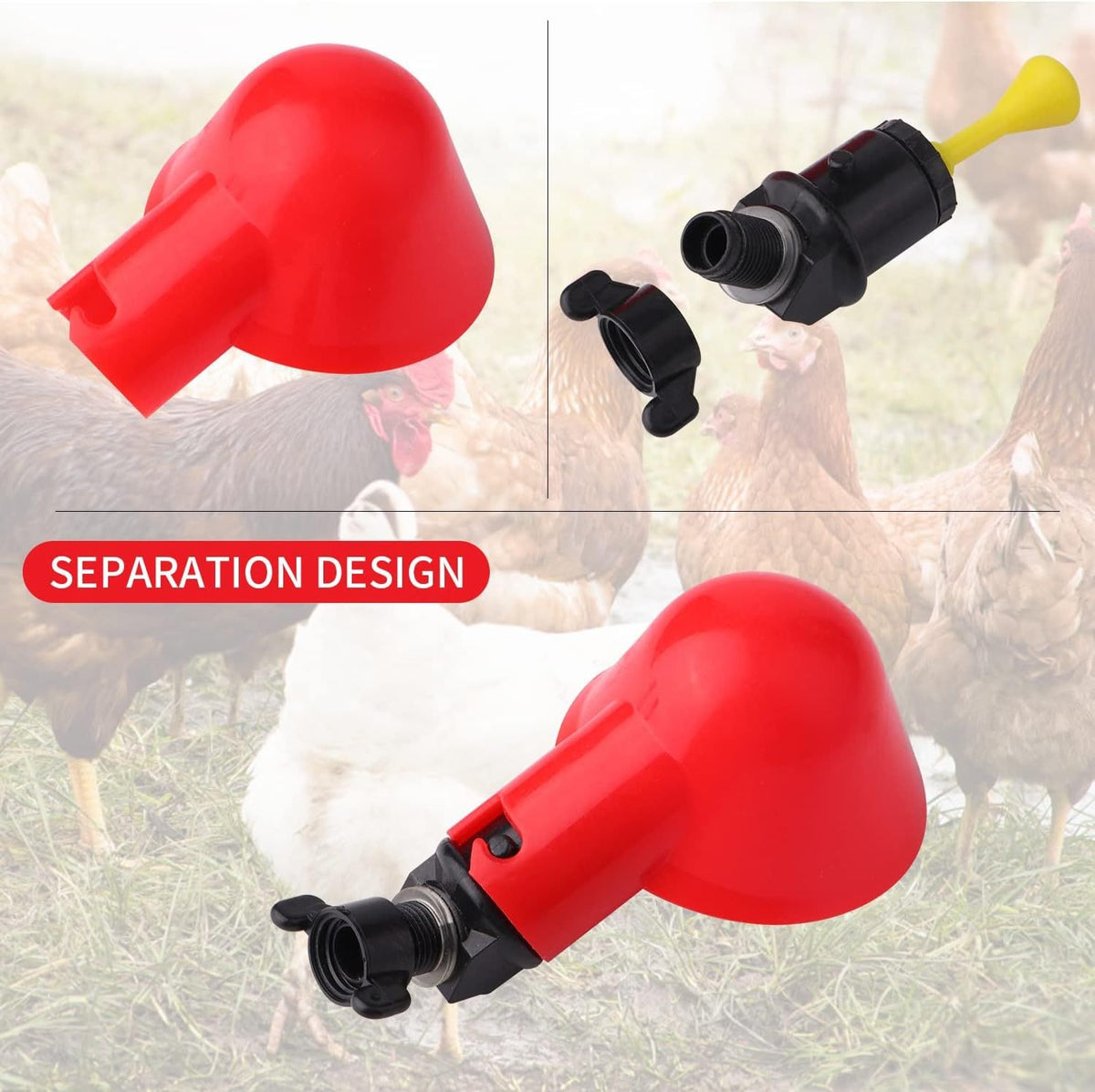 Poulet Bol d'eau Poulet Bateau Automatique Poulet