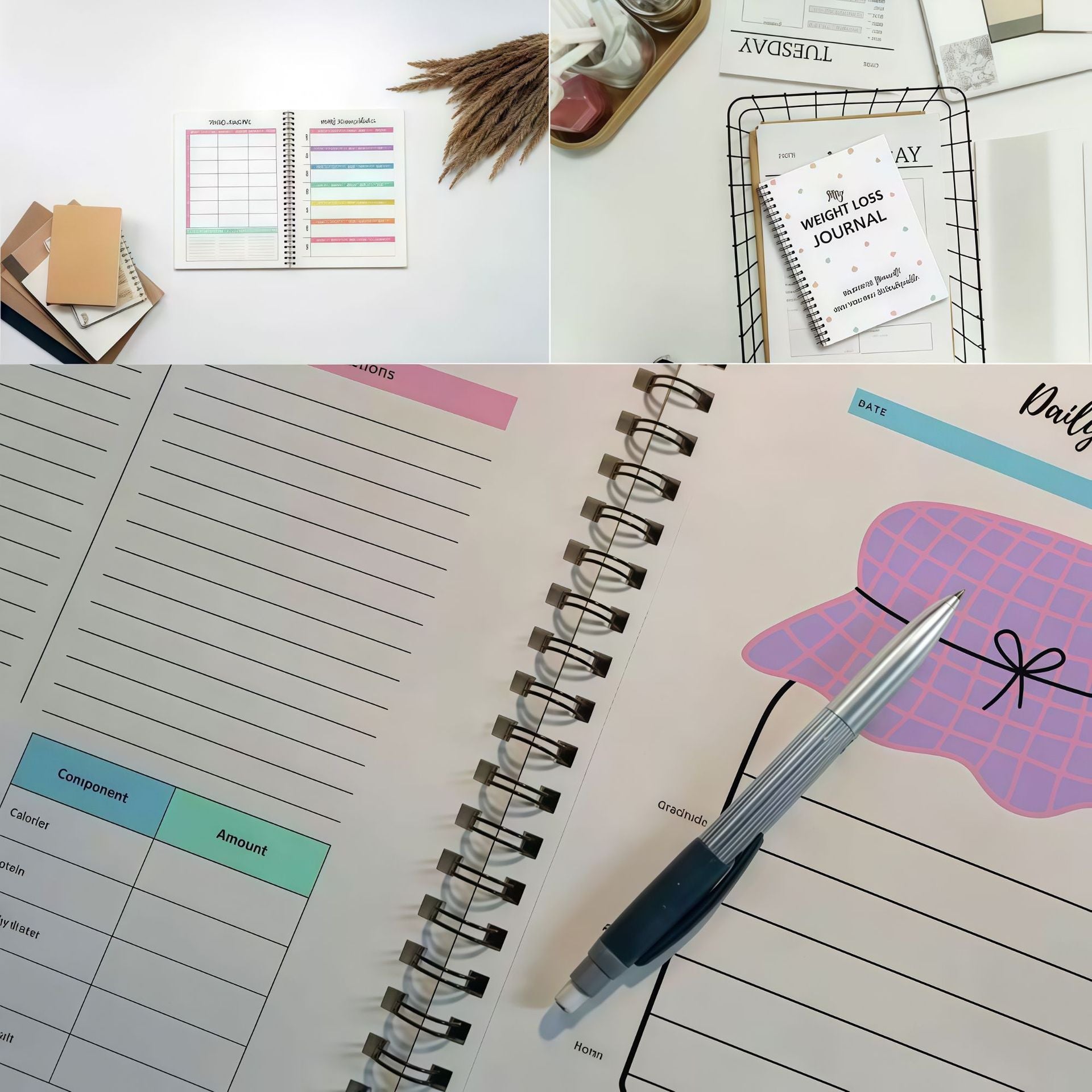 Cahier de notes sur le régime de perte de poids portable du ménage