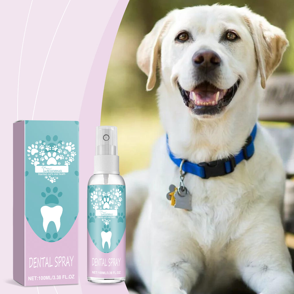 Vaporisateur de dents pour animaux de compagnie