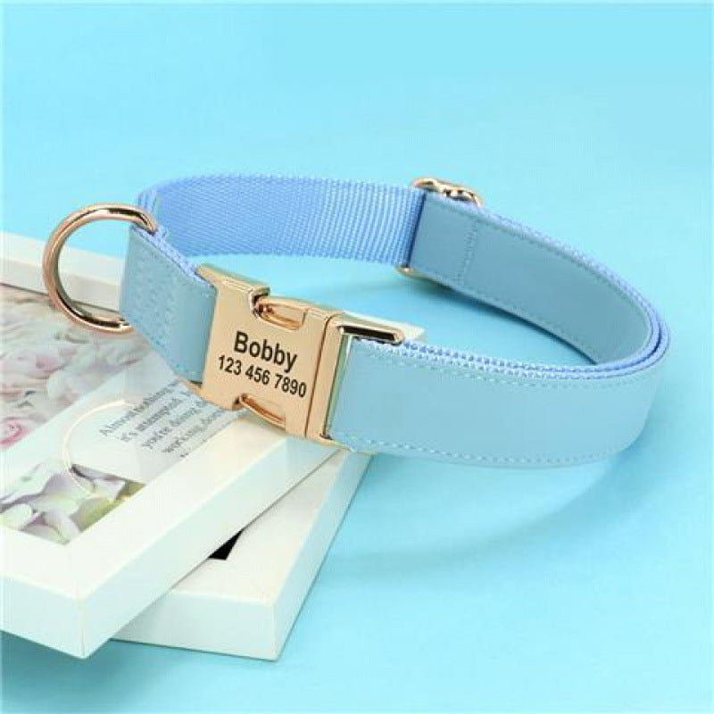 Petit chien Corgi Méthode de lutte contre le collier