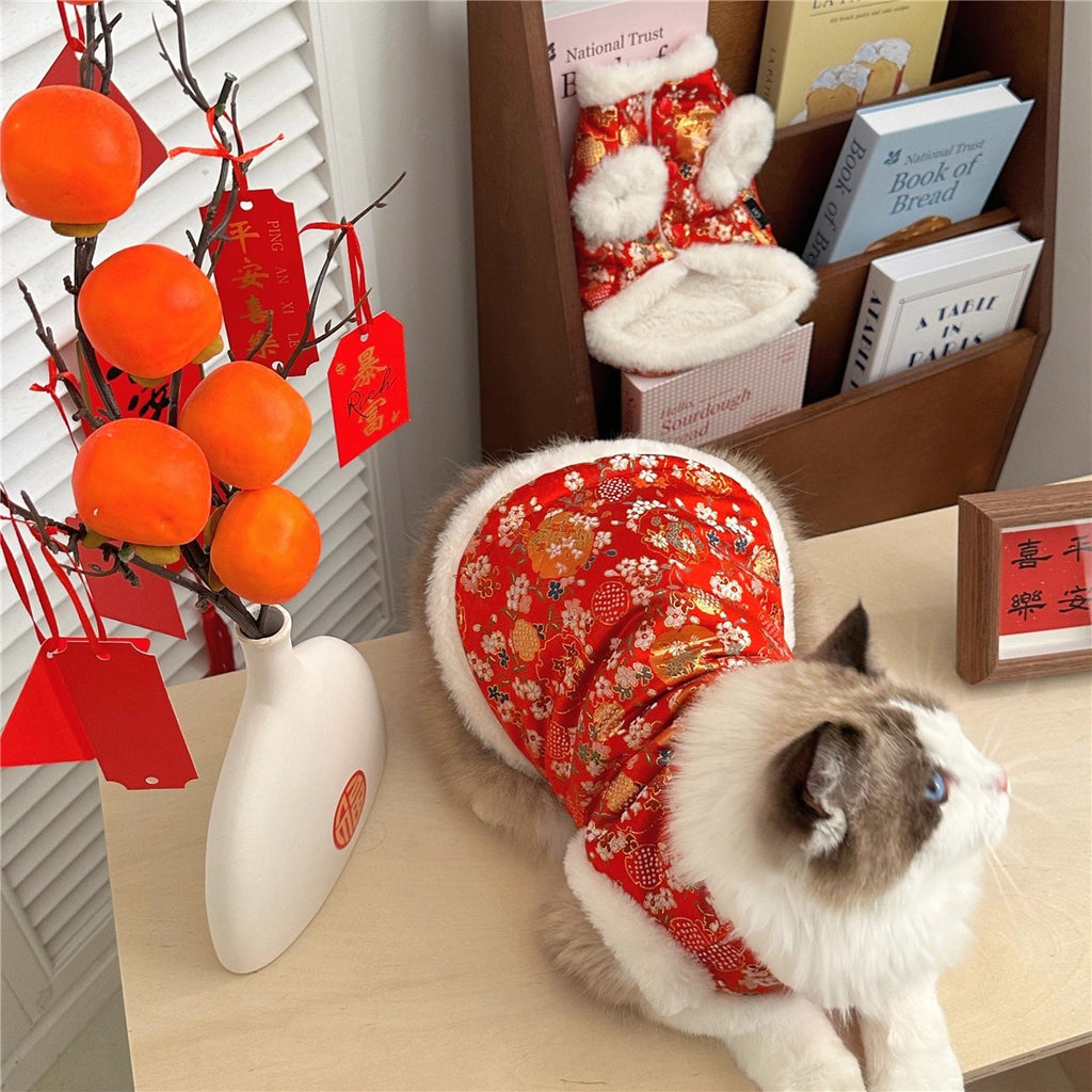 Sous-vêtements Ragdoll Maillot de chaton à l'ombre d'argent
