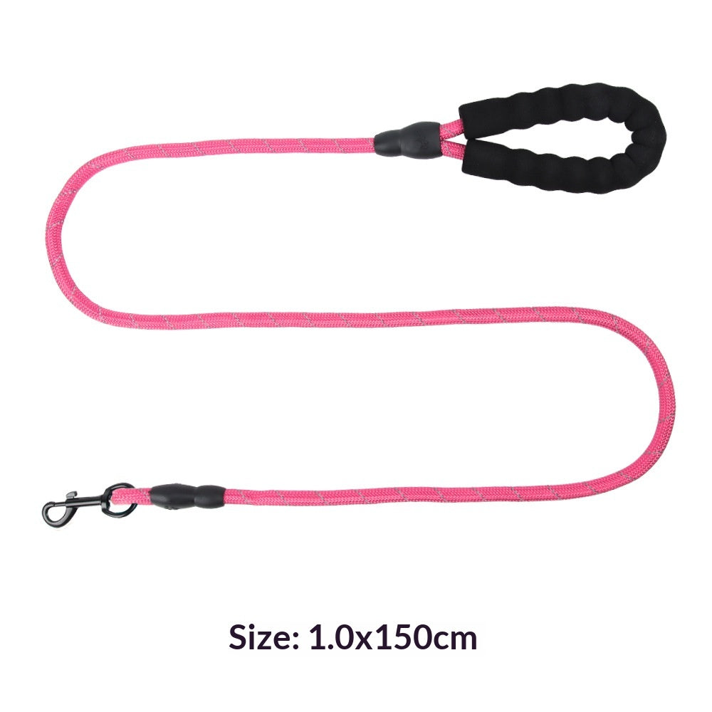 Explosion-Proof Reflective Pet Bungee Leash