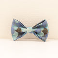 Collier de chien bleu nuancé-pattern doré