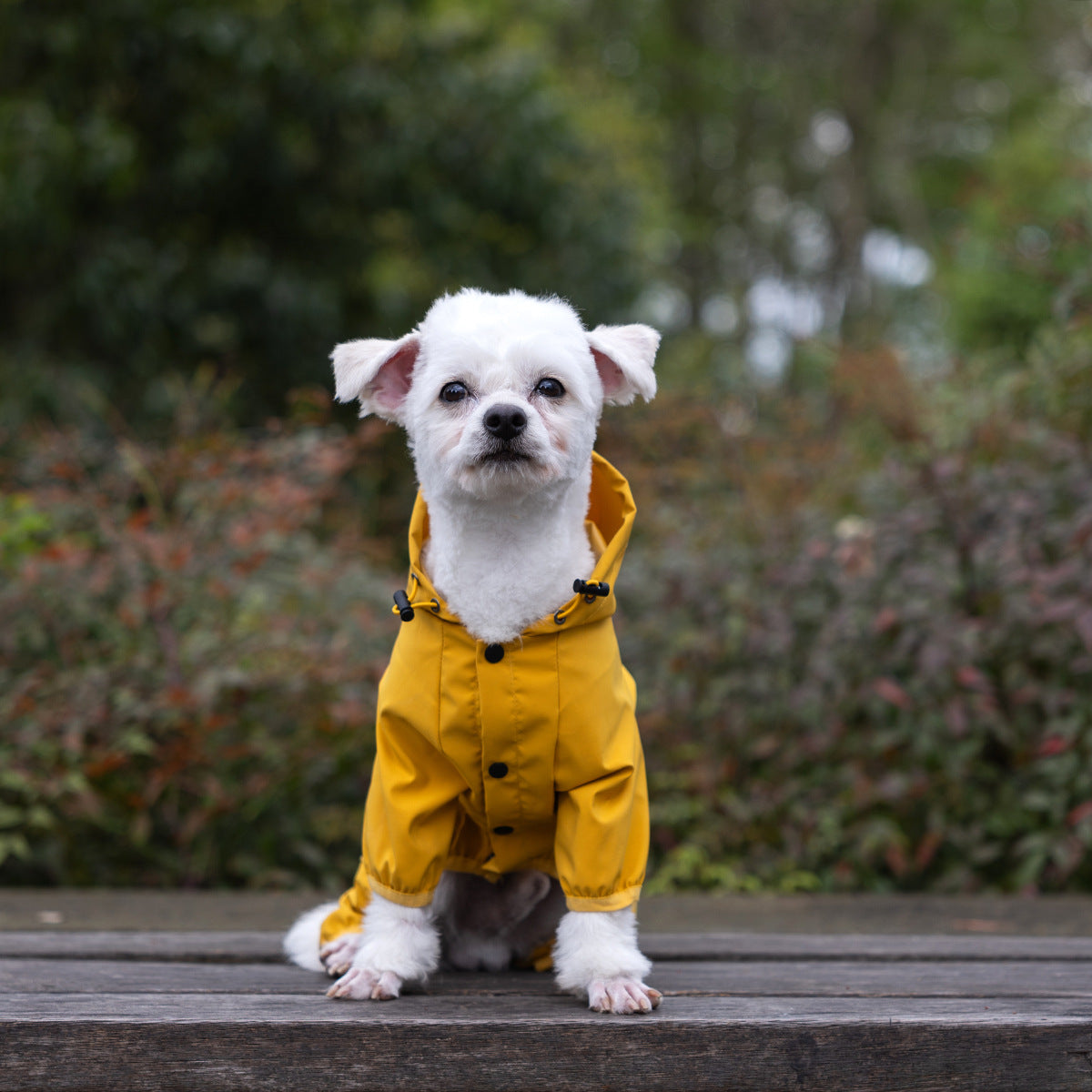 Four-legged waterproof poncho