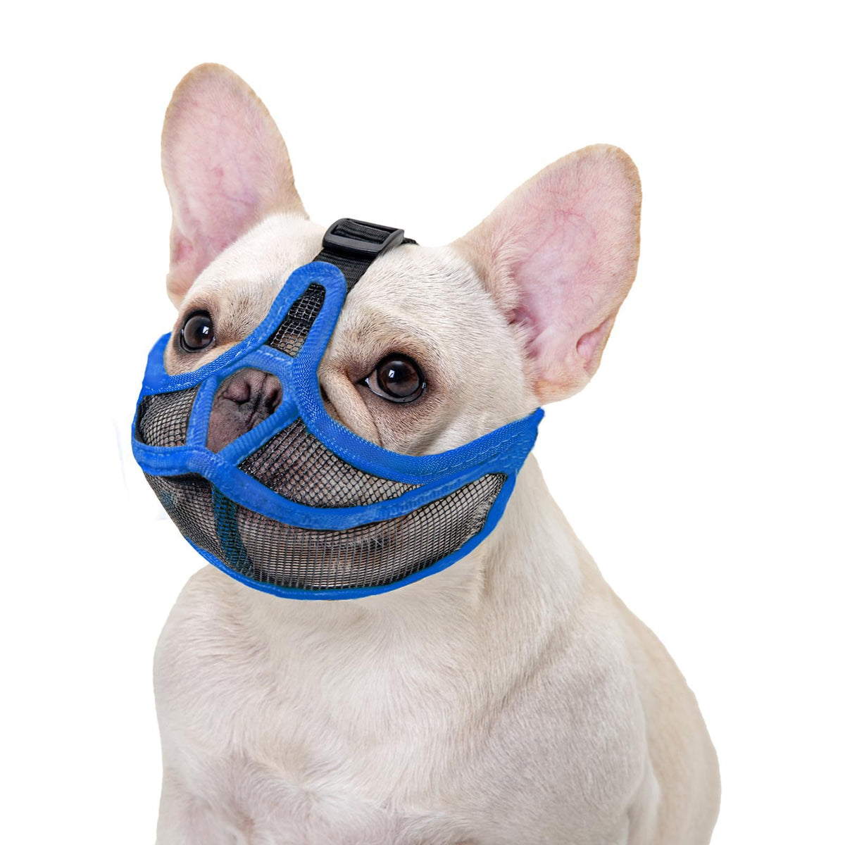 Muselière française Anti-Bite Fumée Respirante Pug Dog Masque visage Pet