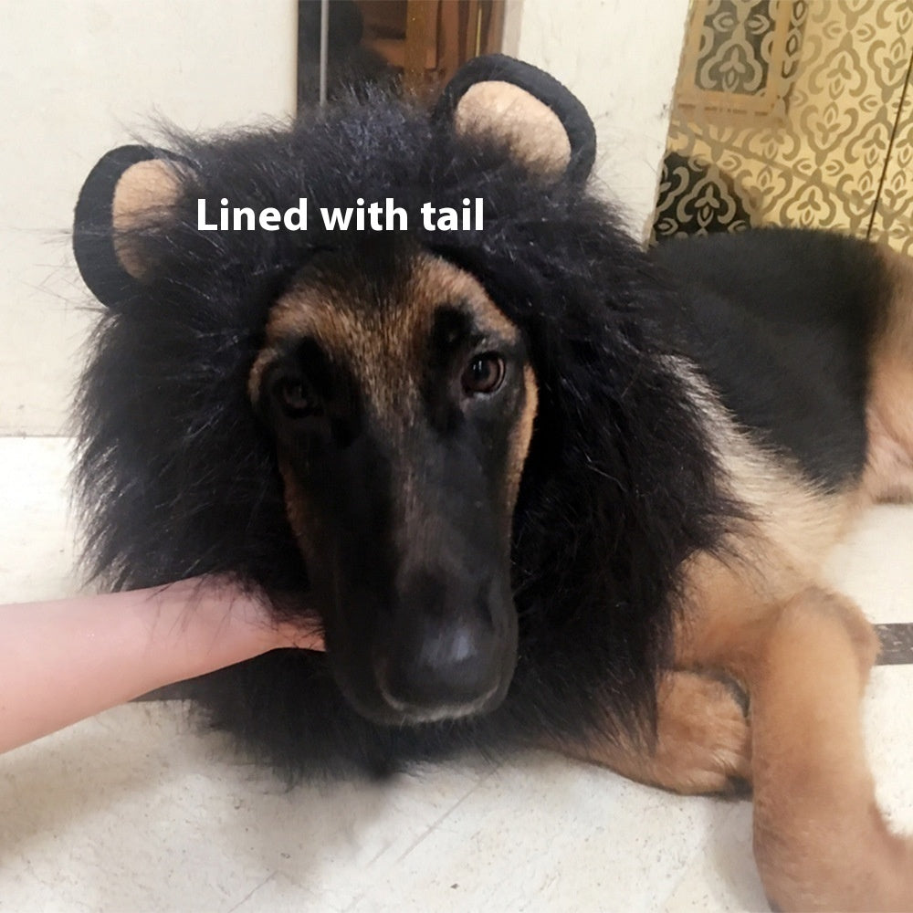 Roi de la Jungle Pet Funny Lion Head Cover