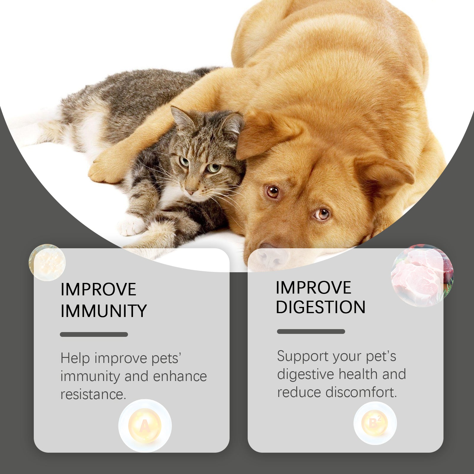 Comprimés à croquer probiotiques pour chiens et chats