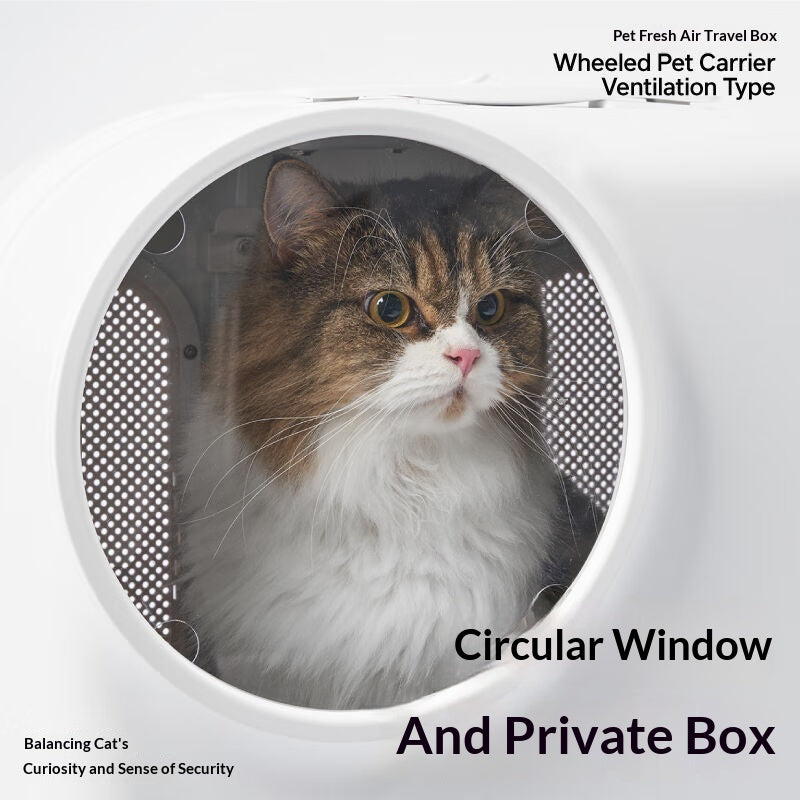 Pet Fresh-Air Travel Carrier pratique extra-grand chariot pour les sorties de chats