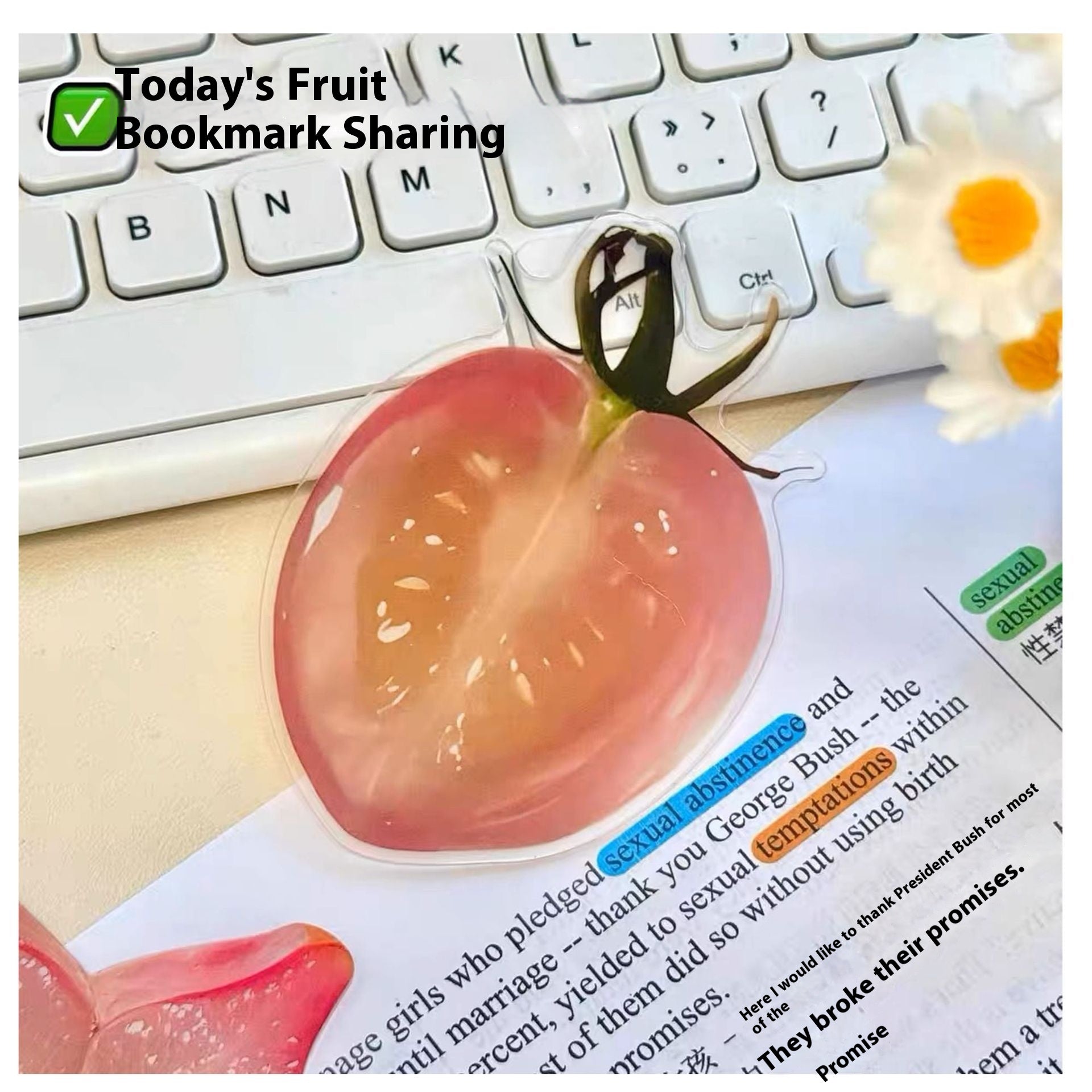 Cute Fixed Book Photo Signet Cartoon Creative Watermelon Fruit Signet