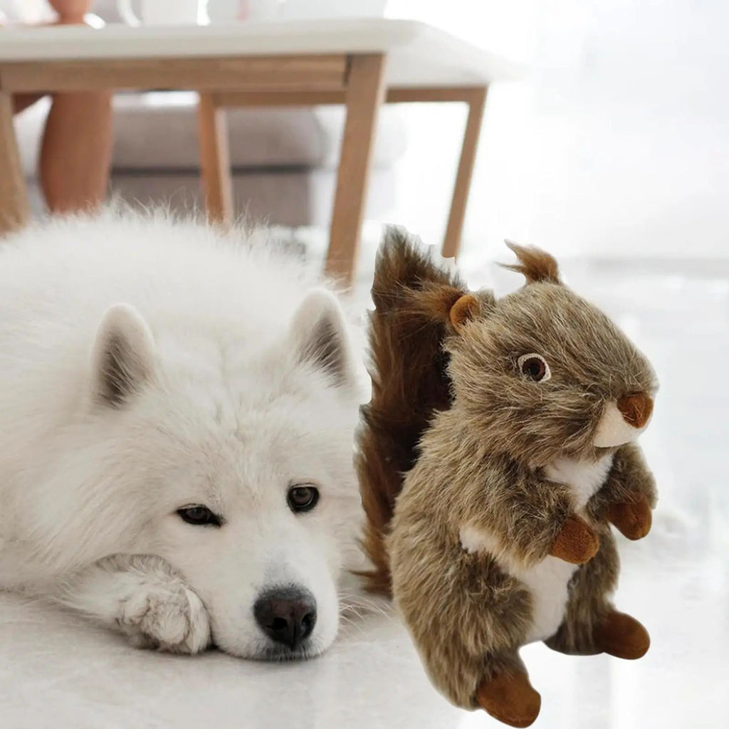 Jouet de chien Squeaky Jouet de chien Jouet de chien de biscuit Jouet de chien en peluche Jouet interactif de mèche pour