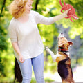Jouets pour animaux ont Vocalisation Interactions résistantes aux piqûres