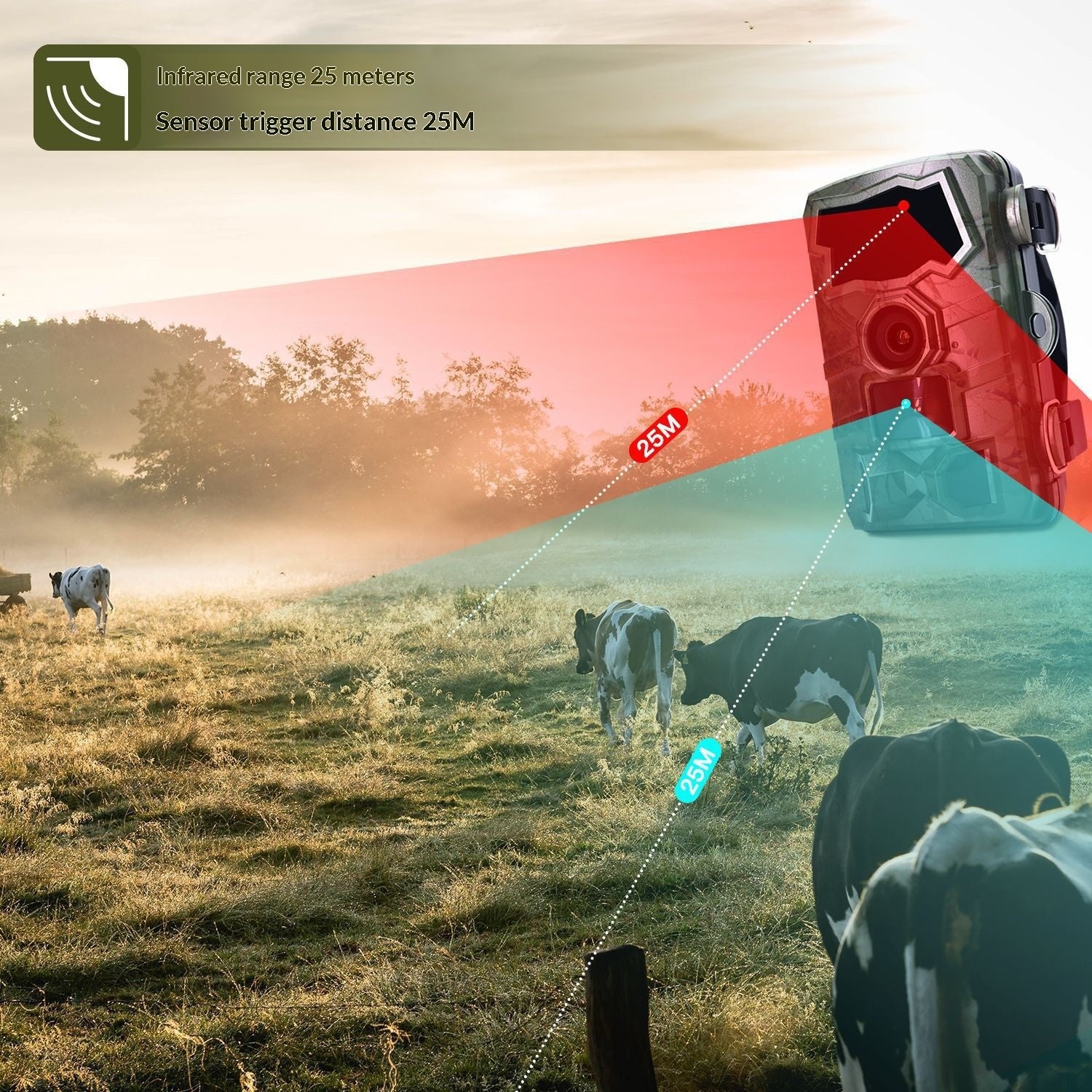 Caméra de chasse Wi-Fi pour la recherche scientifique en plein air avec surveillance activée par mouvement