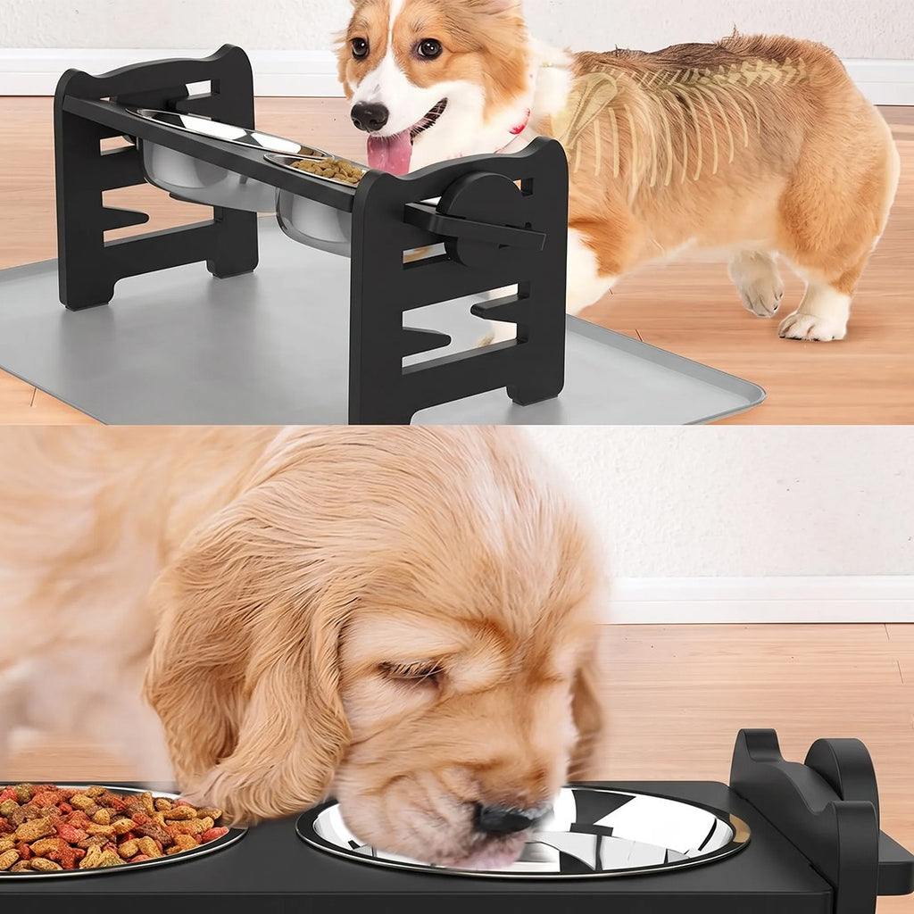 Grand chien nourriture alimentation stand station en acier inoxydable à double montant bols
