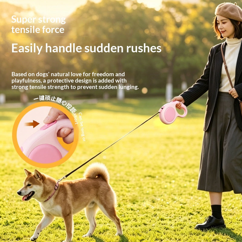 Feuille automatique rétractable pour chien