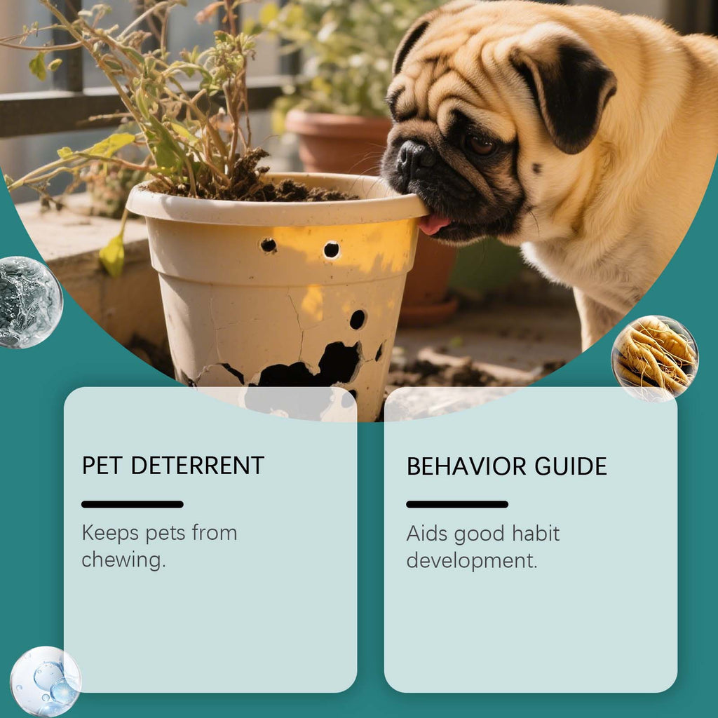 Eggbong Pet Anti-Chew Spray formule douce anti-Lick Anti-Bite Sofa Daily Traini