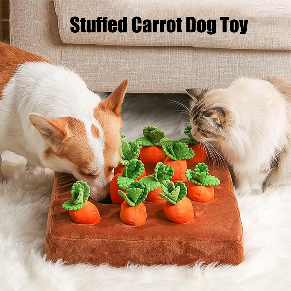 Jouet pour chien de carottes