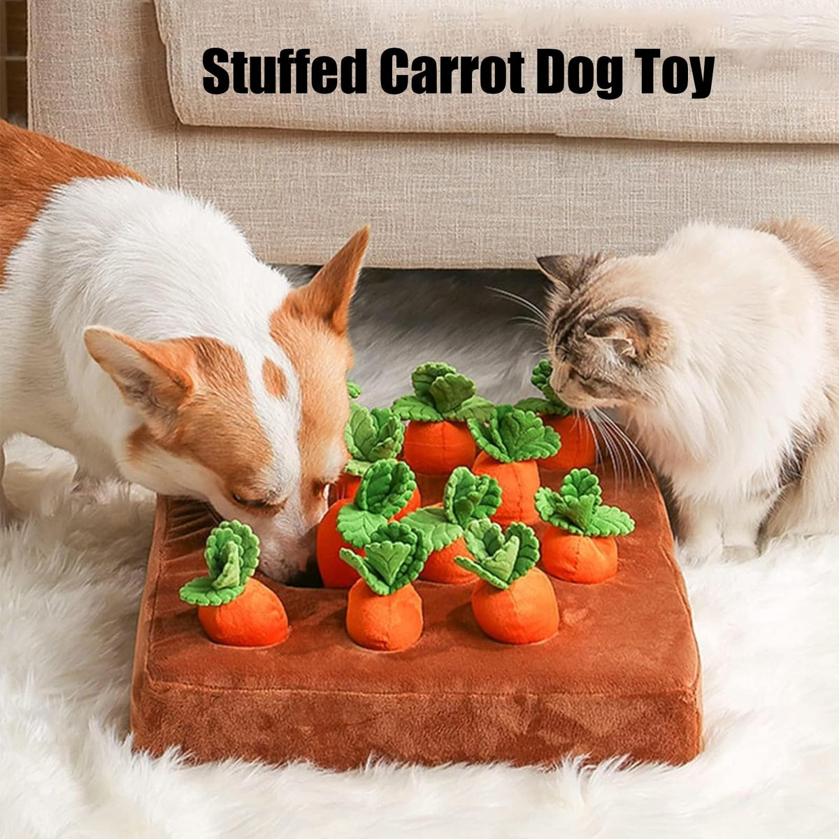 Jouet pour chien de carottes