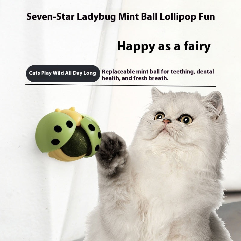 LADYBIRD Licking Music Catnip Ball Toy Decompression Molar