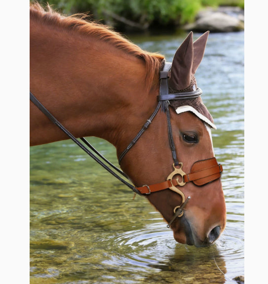 Entraînement Cheval Halter Équipement Cheval en cuir Cheval Bridle Durable Equestre Equestre Equestre