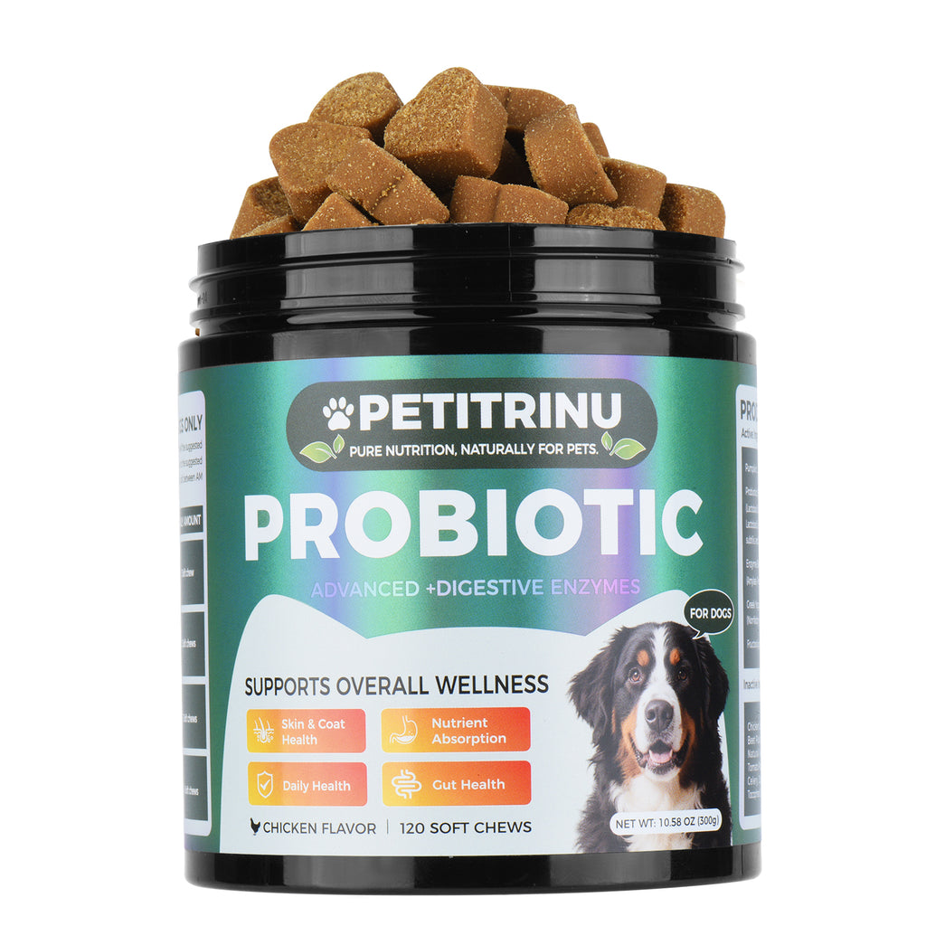 Seulement auto-pickup---probiotiques pour les chiens