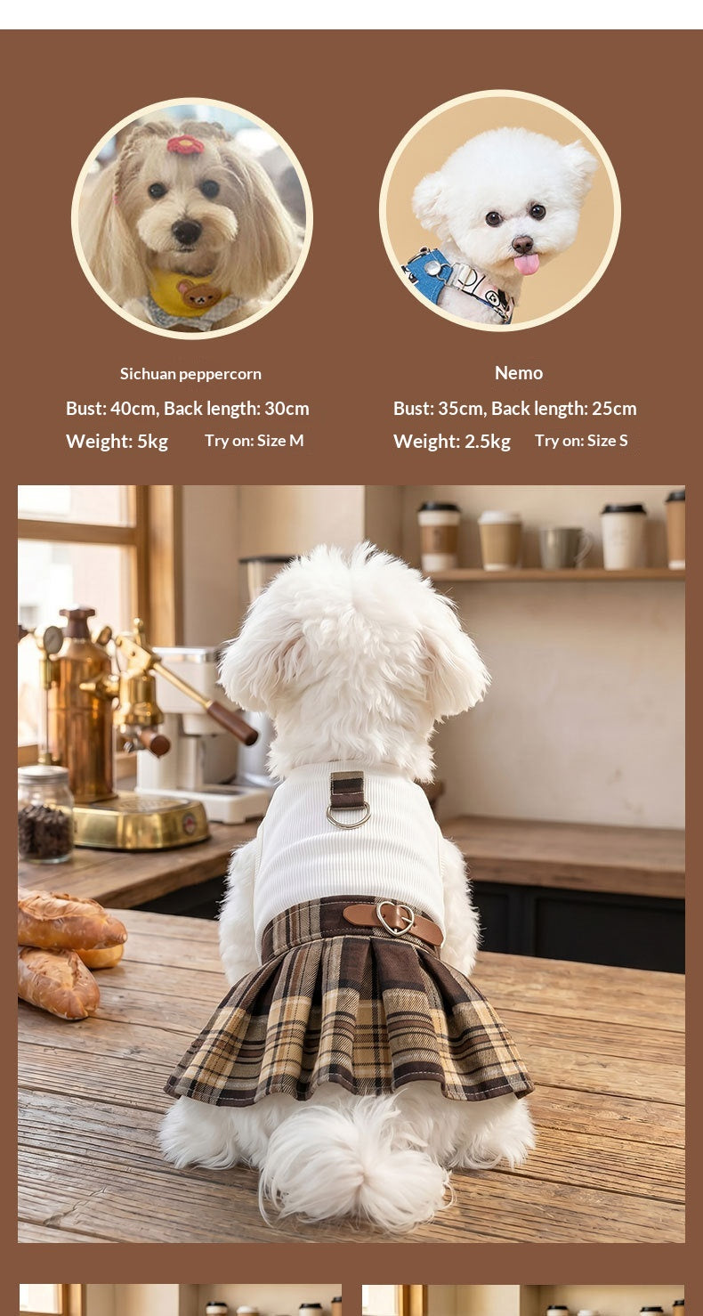 Robe plissée de chien de compagnie préppy.