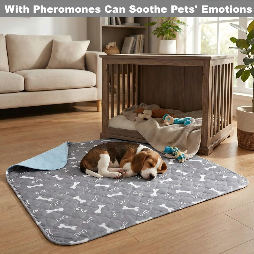 Pad Urine pour chiot