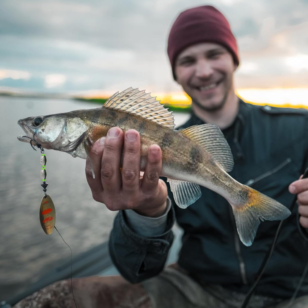 Ensemble de 52 poids de pêche au plomb avec boîte de stockage