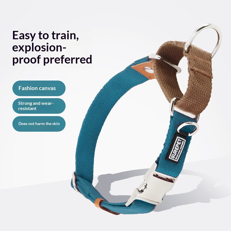 Collier de chien avec étiquette d'identification pour empêcher votre chien de se perdre