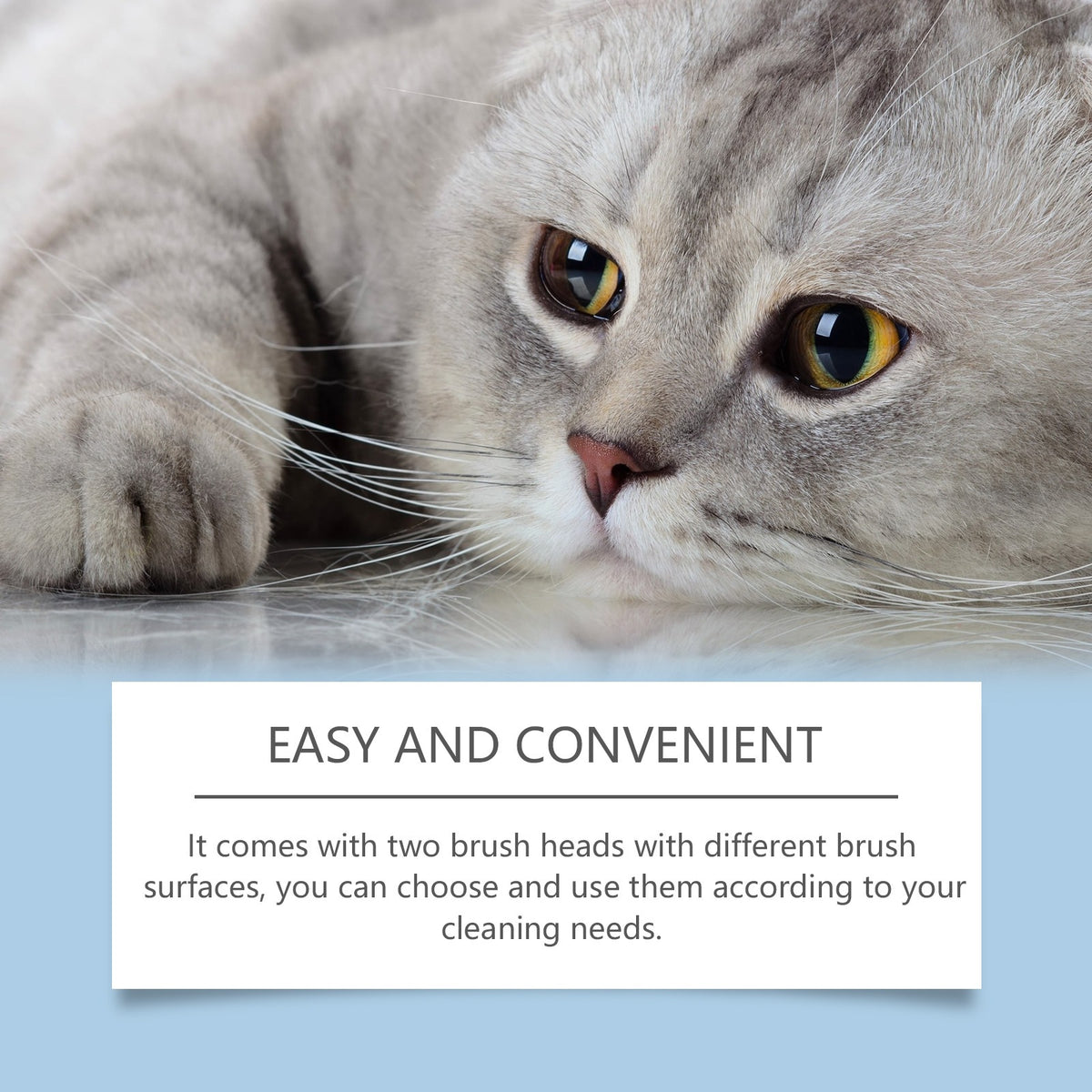 Yegbong Pet Chin nettoyage et entretien set nettoie délicatement les cheveux de chin des animaux de compagnie