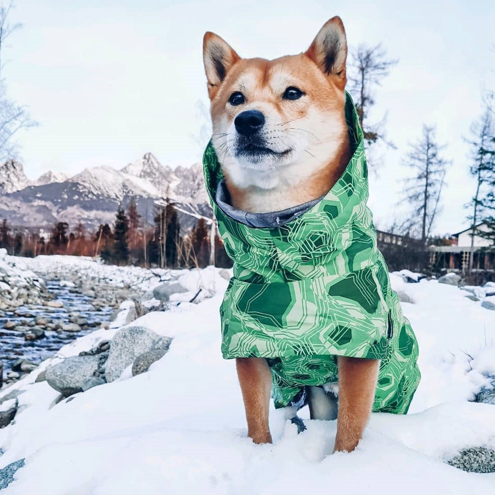 Veste en Coton Grand Chien imperméable à la neige chaude en automne et hiver