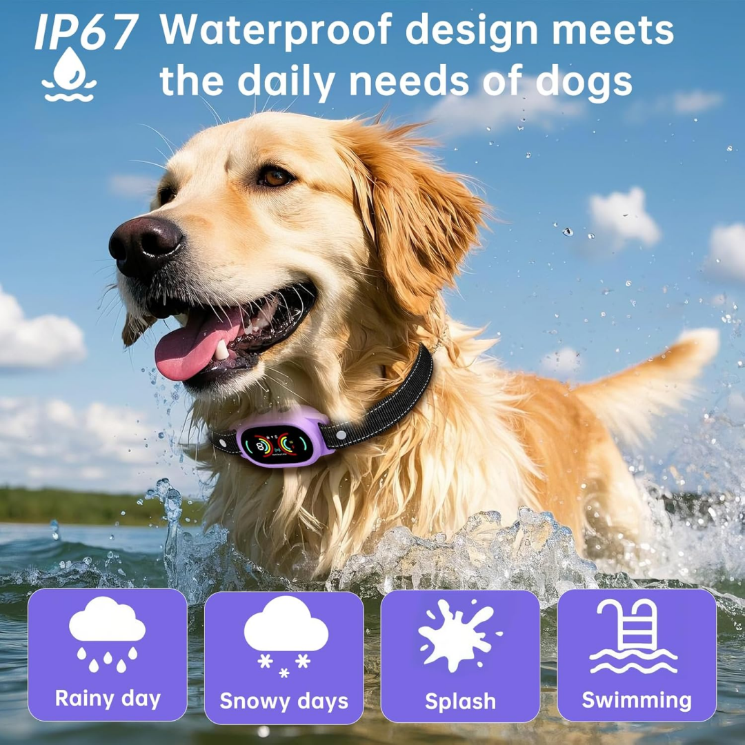 Arrêt automatique de barre intelligente AI -Dog