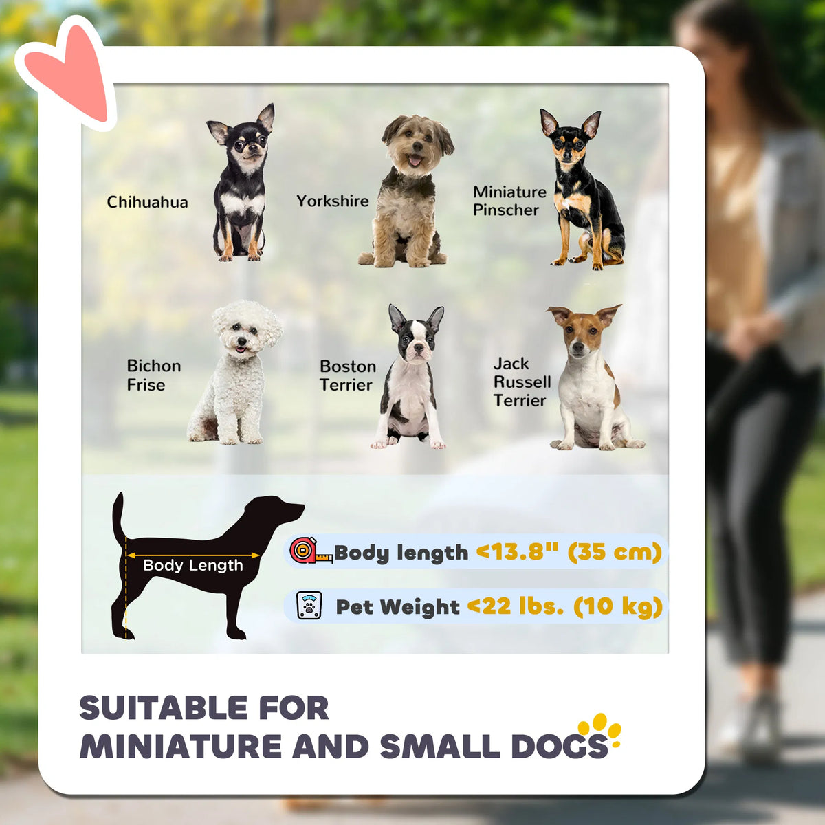 Poussette pour chiens