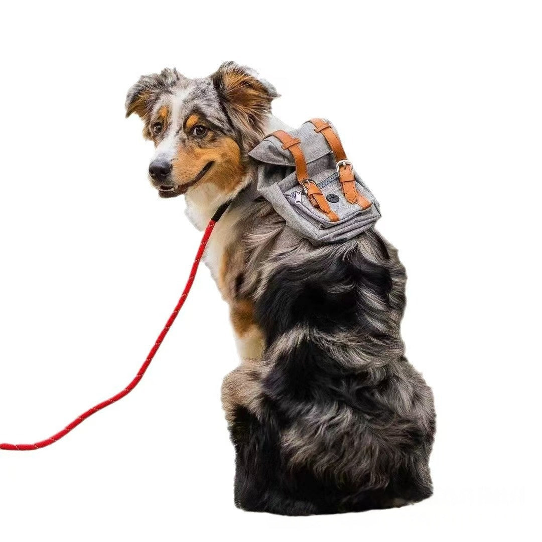 Retro Streetwear Dog Backpack Petite Pet Carrier