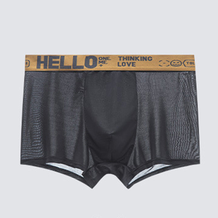 Popular HELLO Ice Silk Sous-vêtements pour hommes Youth Boxer