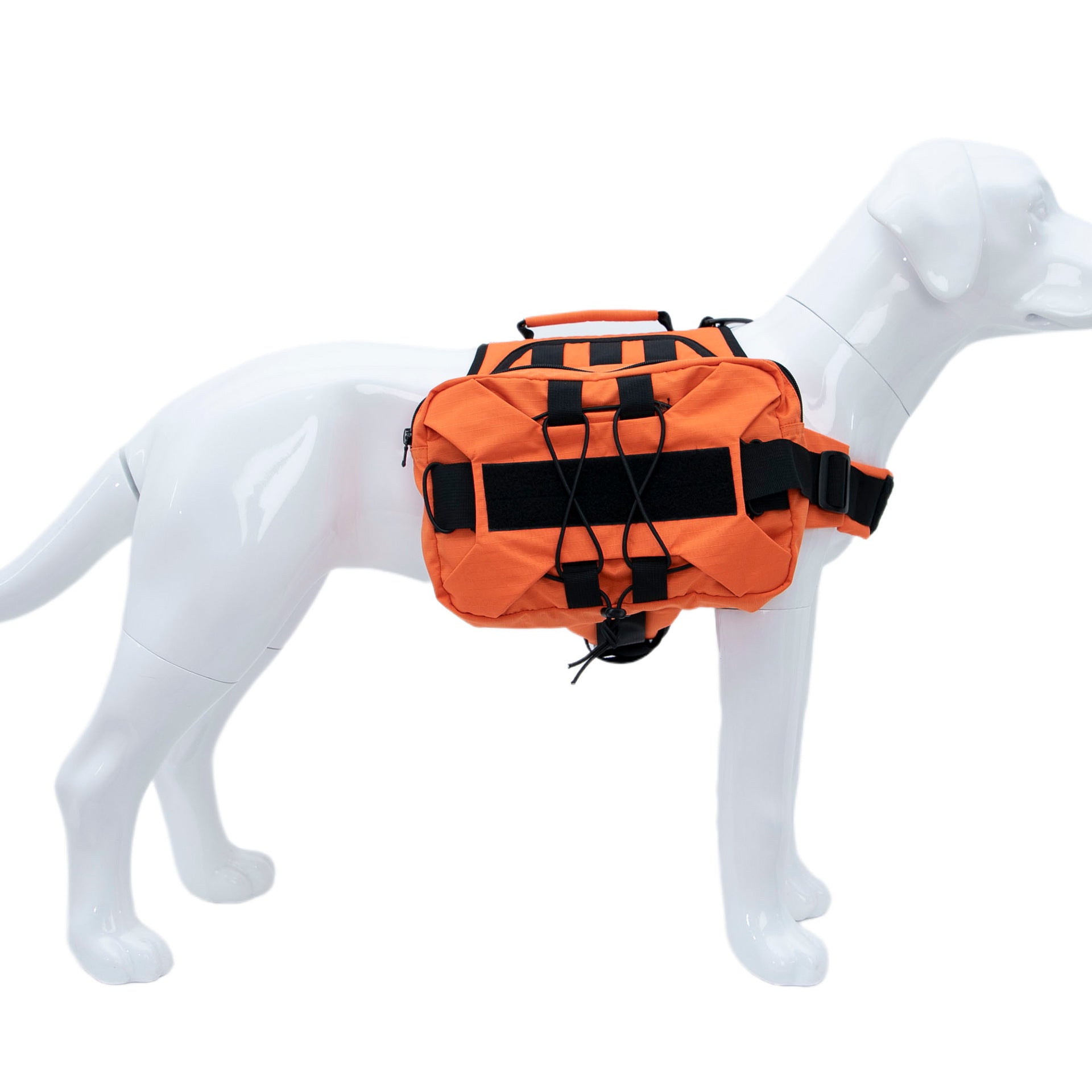 Sac à dos pour animaux de compagnie multifonction avec paillettes