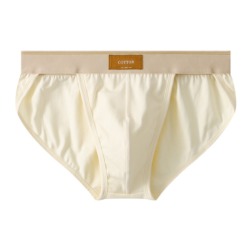 Slips en coton couleur solide pour hommes