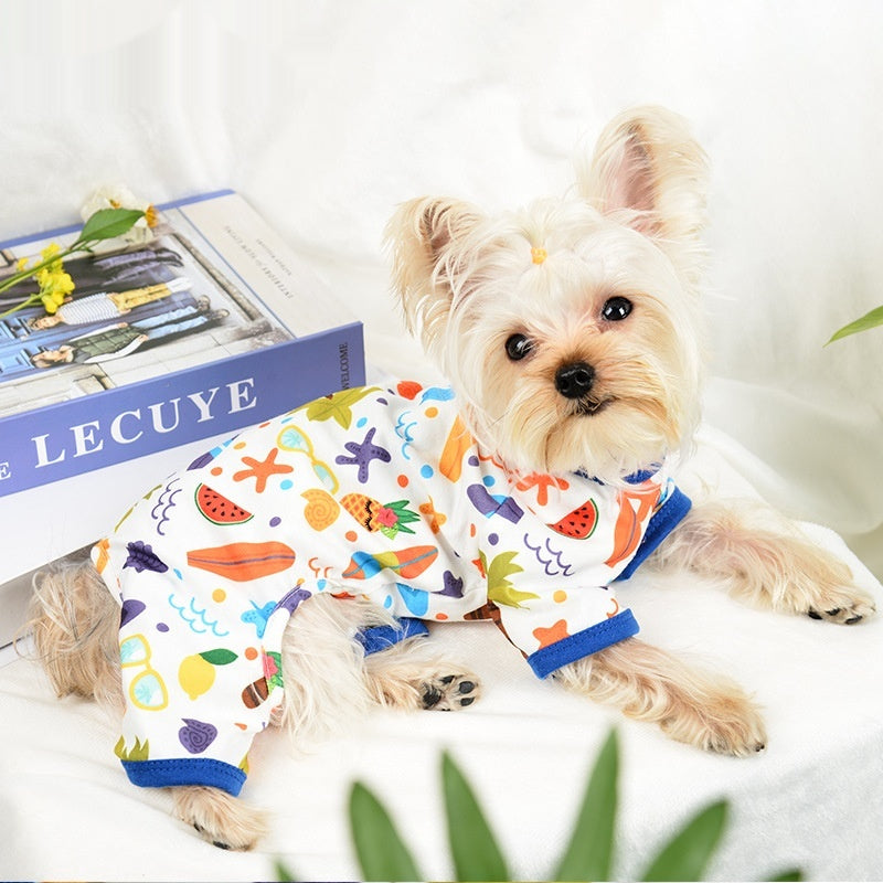 Coffret de saut d'impression pour animaux de compagnie