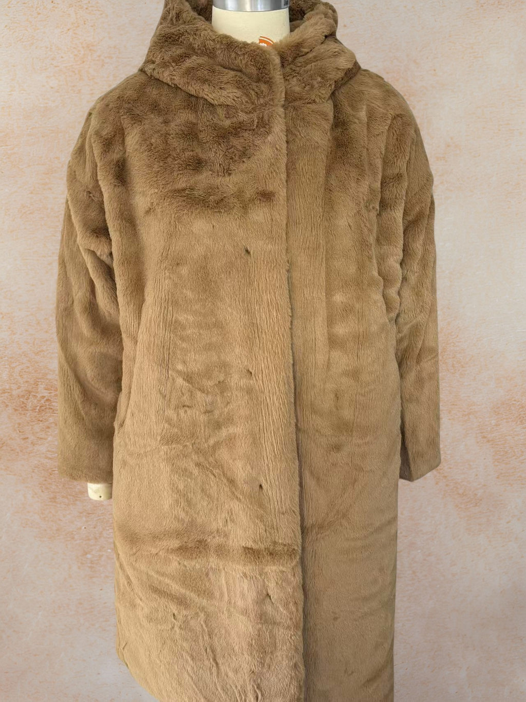 Manteau à capuche en peluche, épaissé, pour femmes
